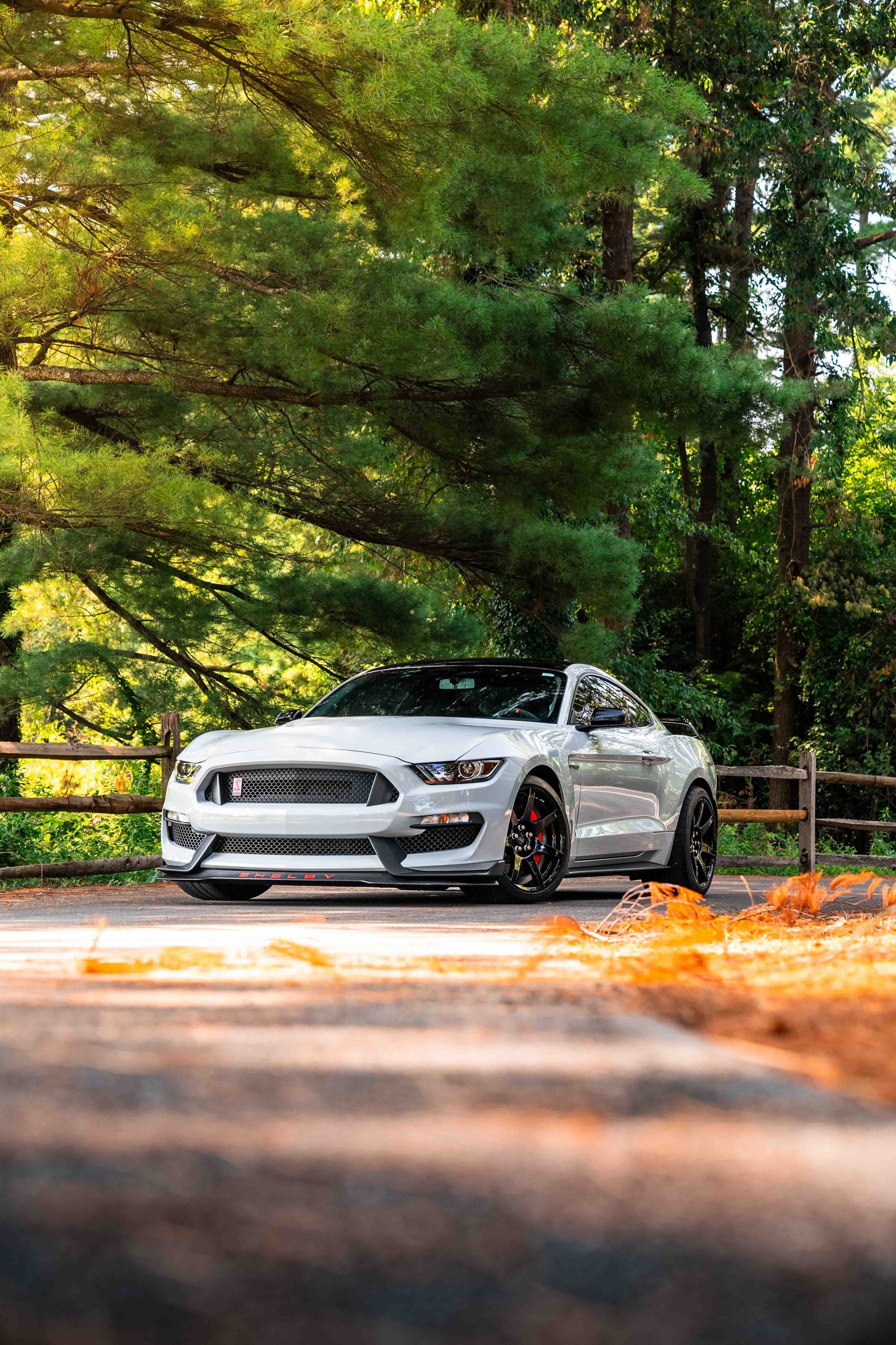 GT350/R