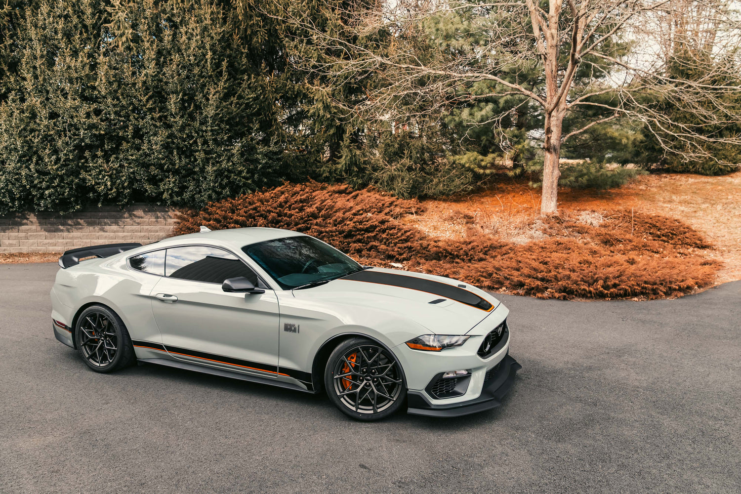 S550 GT/Mach 1